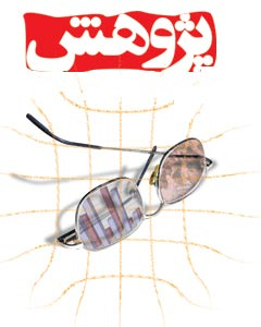 دوازدهمین جلسه پژوهش و فناوری استان