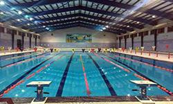 شناگران تهرانی از آب طلا گرفتند/ همدانی‌ها سوم شدند