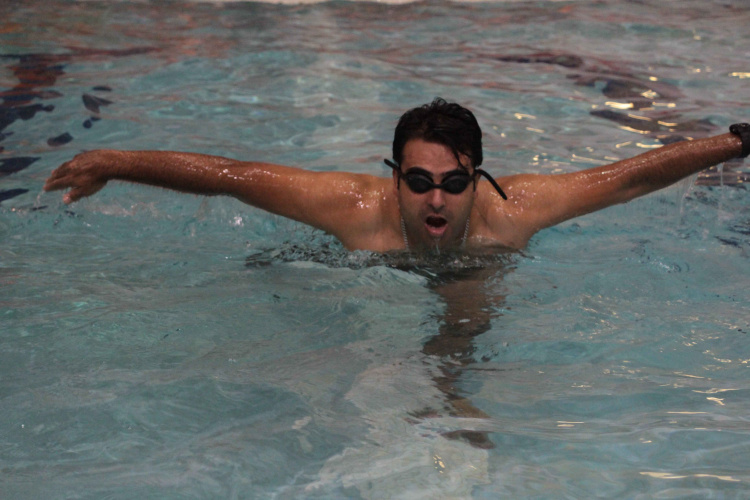 شناگران برتر چهار ماده مشخص شدند