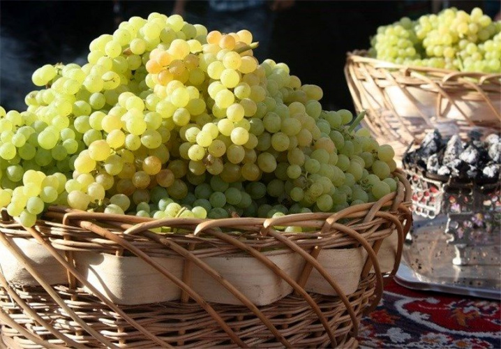 برگزاری اولین رویداد استارت آپی استان در حوزه انگور و کشمش به روز ۲۳ آبان ماه جاری موکول شد.